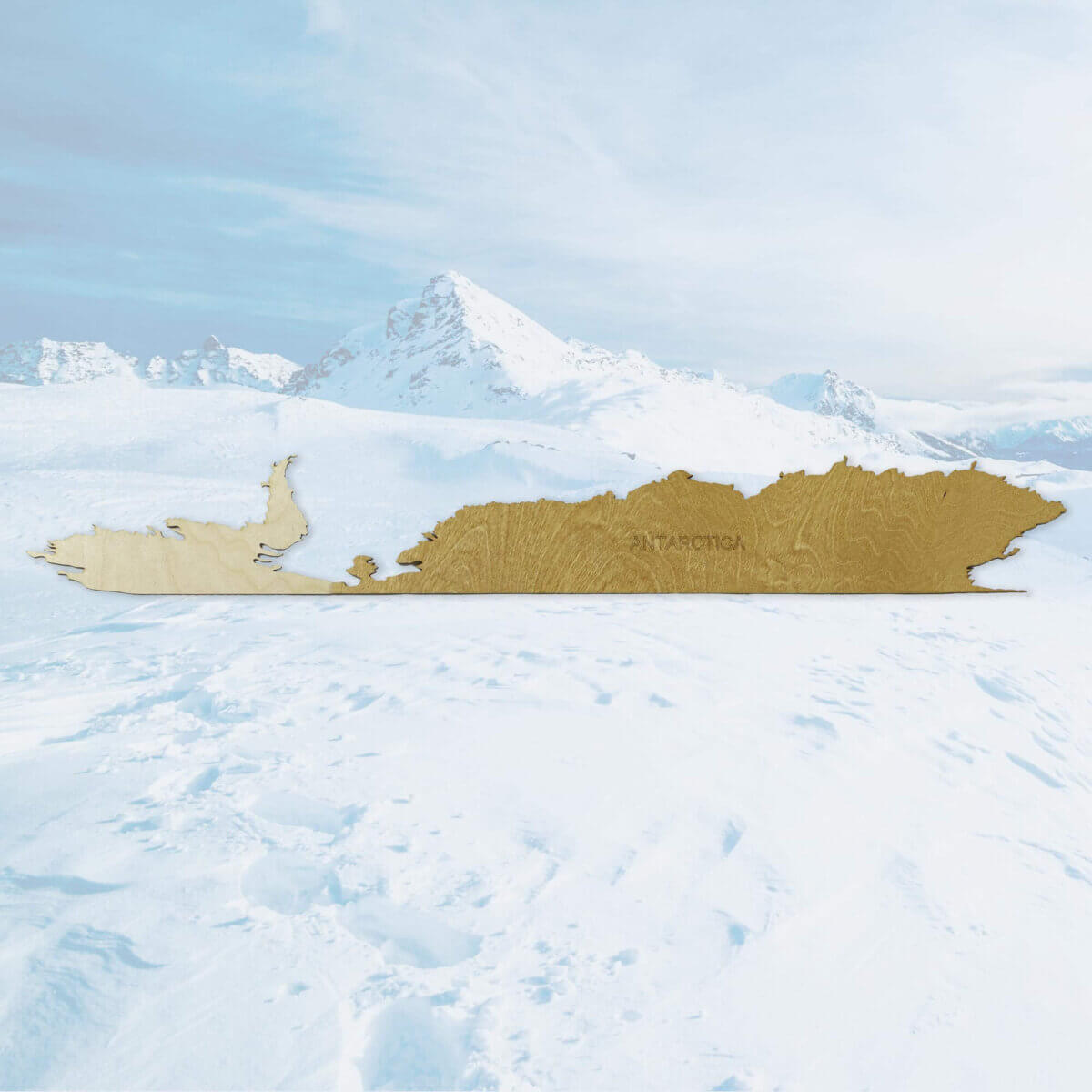 3D Antarktis Holzpanel